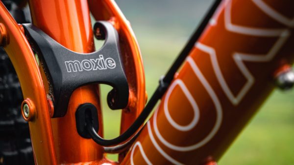 TFM - The Full Moxie - Image 5